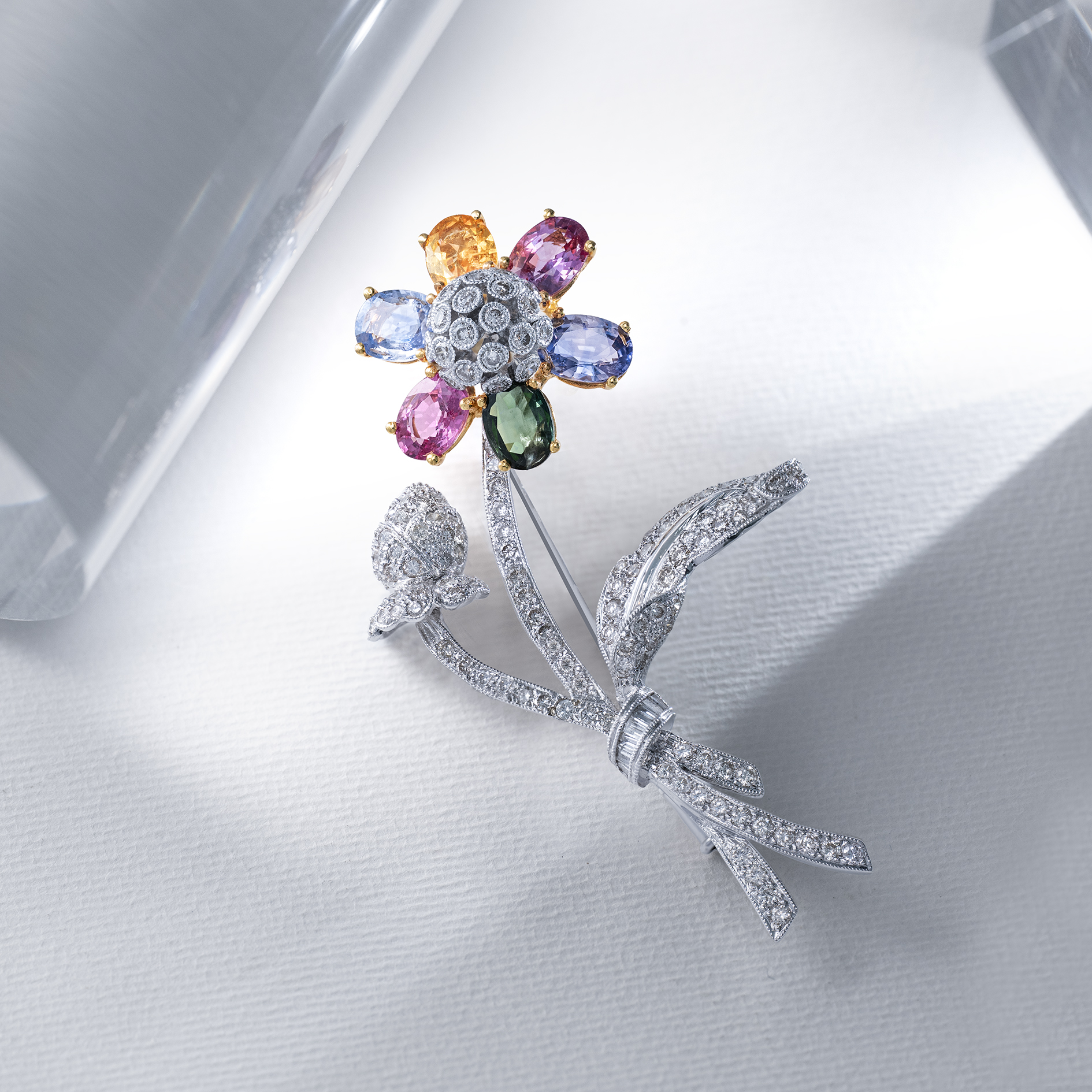 ≪吉祥寺店のおすすめ商品≫